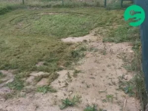 Pronájem rodinného domu, Rokycany, Příbramská, 16 m2