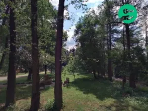 Pronájem rodinného domu, Rokycany, Příbramská, 16 m2