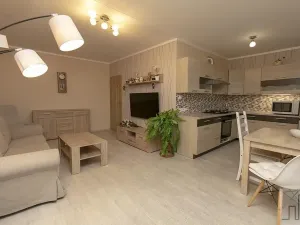 Prodej bytu 2+1, Litvínov, Valdštejnská, 49 m2