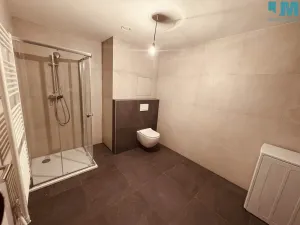 Pronájem bytu 2+kk, Jihlava, Okružní, 52 m2