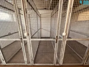 Pronájem bytu 2+kk, Jihlava, Okružní, 52 m2