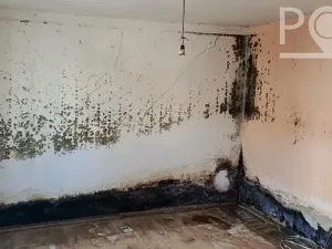 Prodej rodinného domu, Kanice, 68 m2