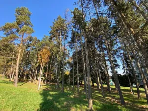 Pronájem bytu 4+kk, Brno - Štýřice, Sovinec, 92 m2