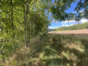 Prodej lesa, Lánov - Horní Lánov, 15278 m2