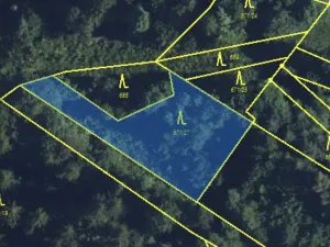 Prodej lesa, Jedlí, 1198 m2