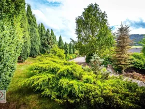 Prodej pozemku pro bydlení, Prachatice, Krumlovská, 5021 m2