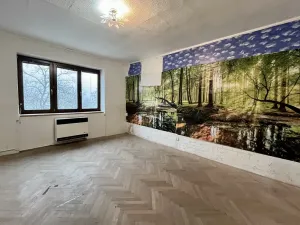 Pronájem bytu 1+1, Brno, Veslařská, 45 m2