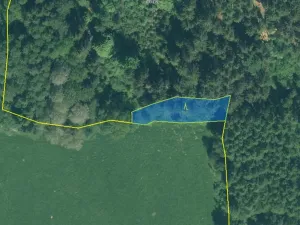 Prodej lesa, Rozvadov - Nové Domky, 5912 m2