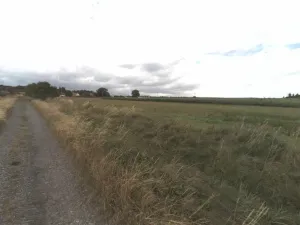 Prodej zahrady, Merklín - Lhota, 2708 m2