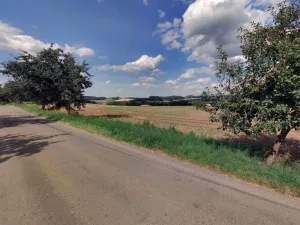 Prodej zahrady, Červený Újezd - Nové Dvory, 8872 m2