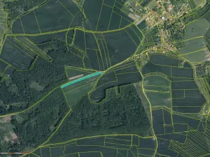 Prodej louky, Petrovice, 20542 m2