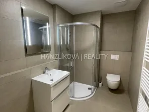 Pronájem bytu 2+kk, České Budějovice, Hálkova, 37 m2