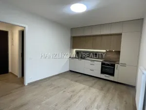 Pronájem bytu 2+kk, České Budějovice, Hálkova, 40 m2