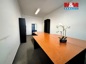 Pronájem kanceláře, České Budějovice - České Budějovice 3, K. Světlé, 55 m2