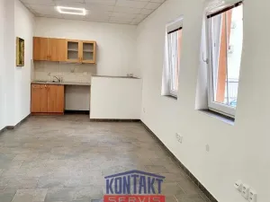 Pronájem kanceláře, České Budějovice - České Budějovice 3, 35 m2