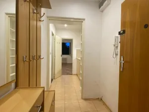 Pronájem bytu 1+kk, Brno - Královo Pole, Herčíkova, 30 m2