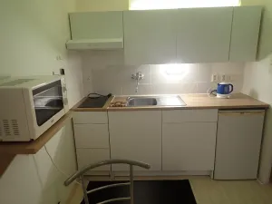 Pronájem bytu 1+kk, Liberec - Liberec I-Staré Město, Ruprechtická, 20 m2