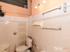 Prodej bytu 2+1, Louny, Husova, 76 m2