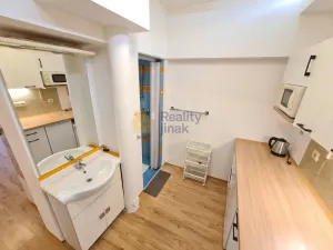 Pronájem bytu 1+1, Brno - Staré Brno, Vodní, 24 m2