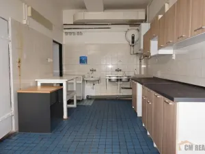 Pronájem obchodního prostoru, Prostějov, Tylova, 90 m2