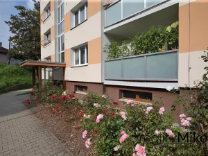 Prodej bytu 1+1, Železný Brod, Na Vápence, 41 m2