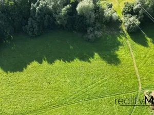 Prodej louky, Proseč pod Ještědem, 3713 m2