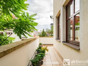 Pronájem bytu 5+kk, Praha - Vinohrady, Perucká, 180 m2