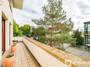 Pronájem bytu 5+kk, Praha - Vinohrady, Perucká, 180 m2