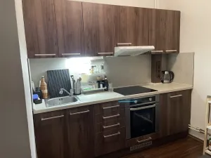 Pronájem bytu 1+1, Ústí nad Labem - Ústí nad Labem-centrum, Thomayerova, 38 m2