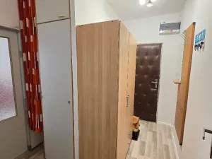 Pronájem bytu 1+kk, Kopřivnice, Družební, 25 m2