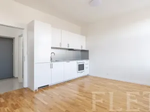 Pronájem bytu 1+kk, Praha - Karlín, Vítkova, 29 m2