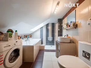 Prodej vícegeneračního domu, Přistoupim, 224 m2