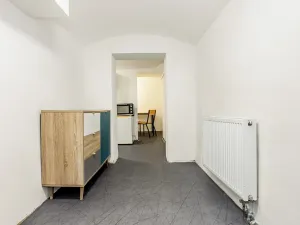 Prodej obchodního prostoru, České Budějovice, 50 m2