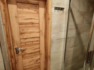 Pronájem bytu 3+kk, Plzeň - Jižní Předměstí, Alešova, 54 m2