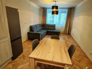 Pronájem bytu 3+kk, Plzeň - Jižní Předměstí, Alešova, 54 m2