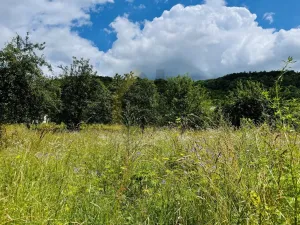 Prodej pozemku pro bydlení, Oskava, 4532 m2