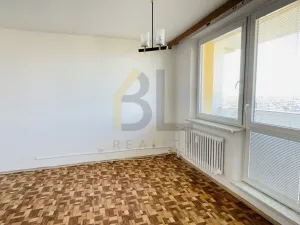 Pronájem bytu 1+1, Hodonín, Brandlova, 32 m2