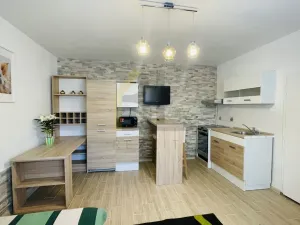 Pronájem bytu 1+kk, Velké Bílovice, Mírová, 20 m2