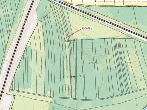 Dražba lesa, Bzenec, 4949 m2