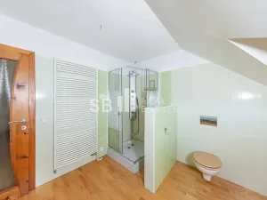 Prodej rodinného domu, Borová, 230 m2