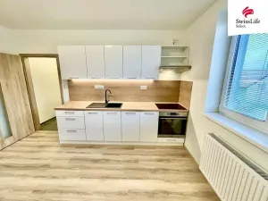 Pronájem bytu 1+1, Vémyslice, 44 m2