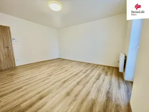 Pronájem bytu 1+1, Vémyslice, 44 m2