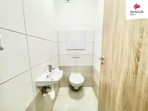 Pronájem bytu 1+1, Vémyslice, 44 m2