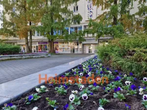 Pronájem kanceláře, Havířov - Město, nám. Republiky, 66 m2