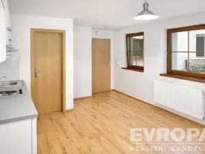 Prodej bytu 1+kk, Praha - Braník, Na vinohradu, 21 m2