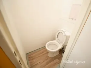 Pronájem bytu 1+kk, Brno - Řečkovice, Žitná, 29 m2