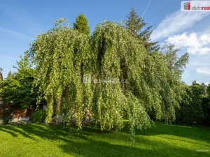 Prodej rodinného domu, Říčany - Strašín, Jedlová, 300 m2