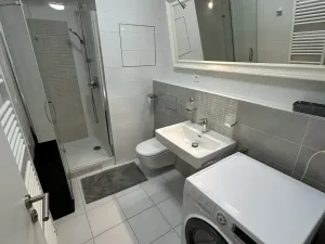 Pronájem bytu 1+kk, Praha - Hostivař, Zemské právo, 30 m2