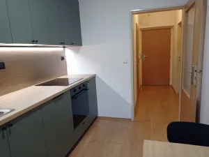 Pronájem bytu 1+1, Mikulov, Brněnská, 40 m2