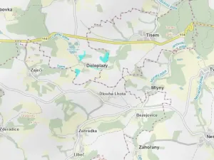 Prodej podílu lesa, Neveklov, 7656 m2